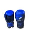 BOXING GLOVES FAFA F7221