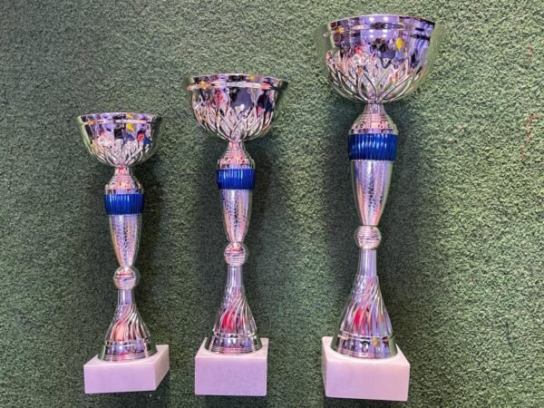 SÉRIE DE 3 COUPES CLASSIQUE 29-37